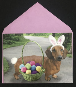 Dachshund Bunny Easter Card