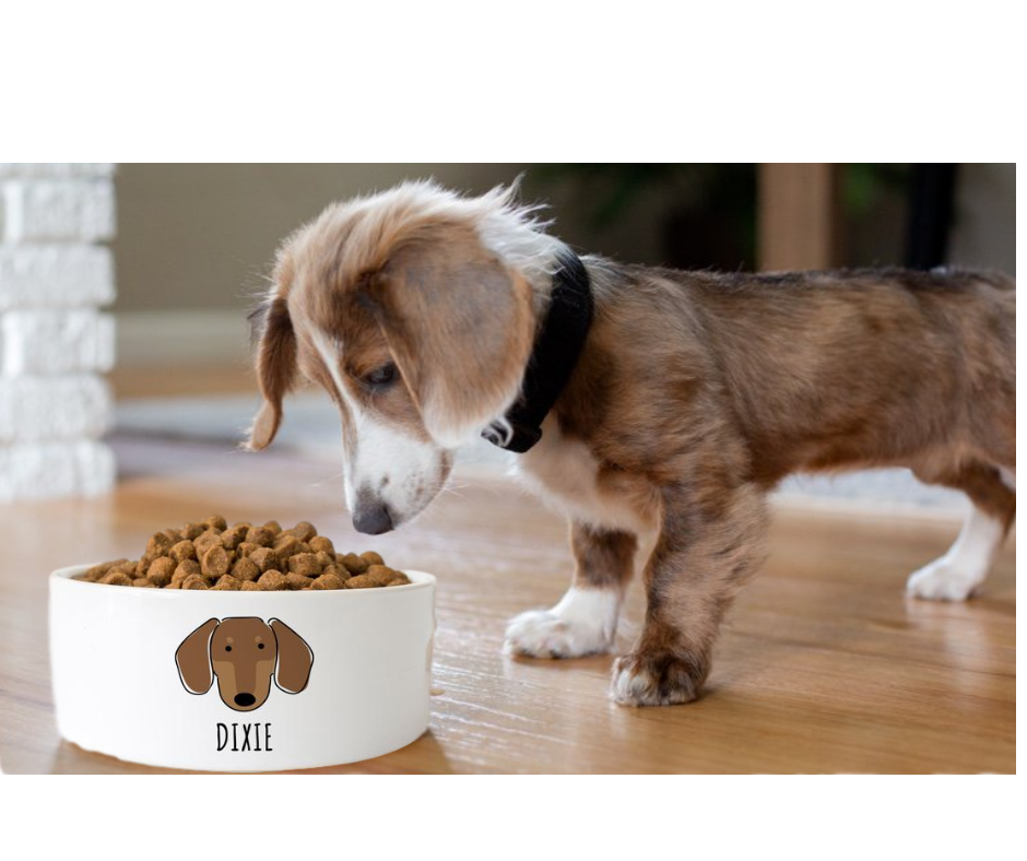 Dachshund Face Dog Bowl