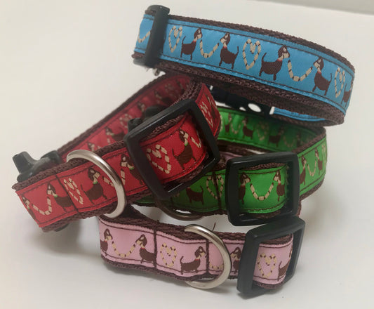 SaucyDog Collars