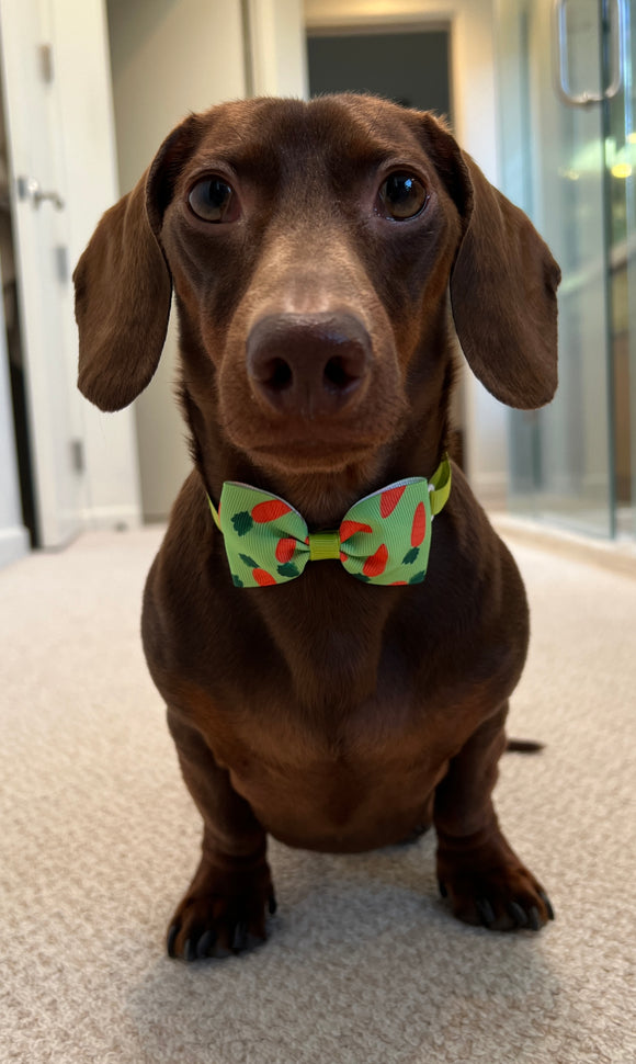 Easter Bow Tie