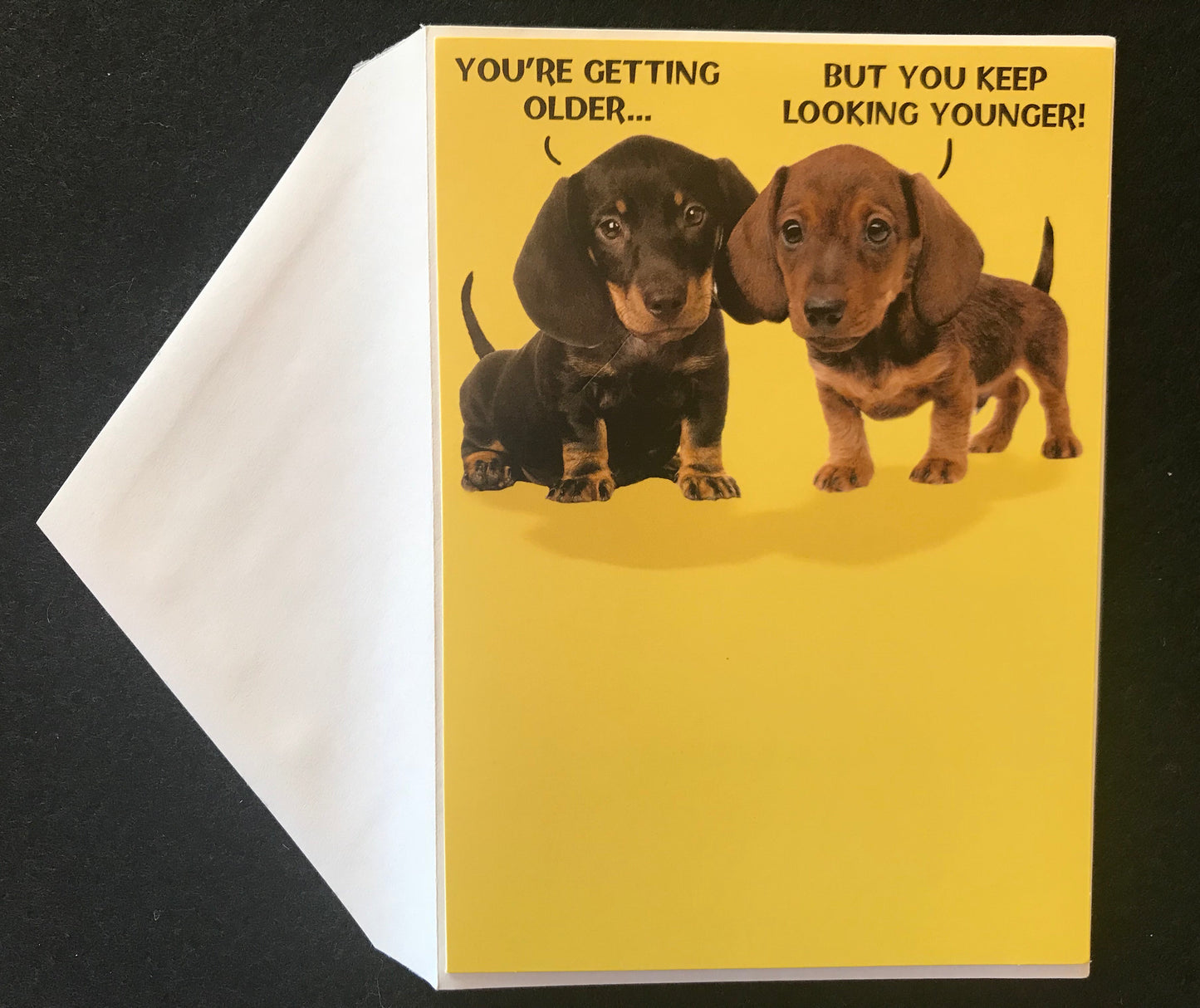 Pair-A-Dachs Birthday Card