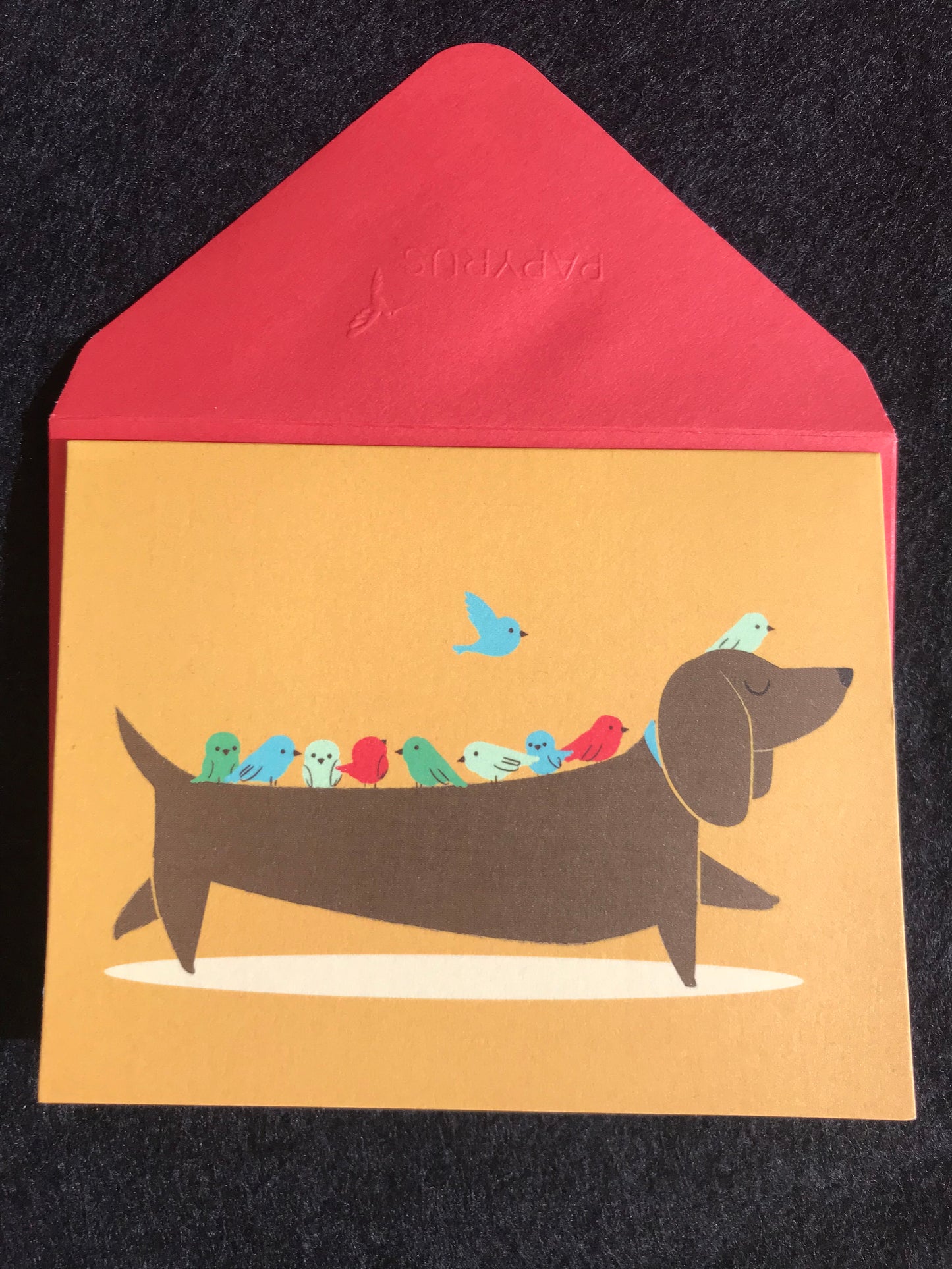 Dachshund BirdDog Notecard